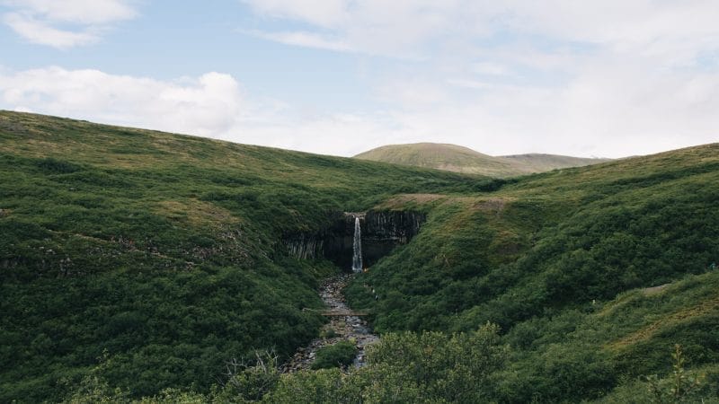 Svartifoss waterfall in Skaftafell National Park