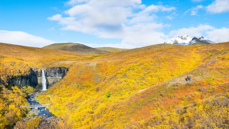 Svartifoss waterfall in Skaftafell Vatnajökull National Park in south Iceland