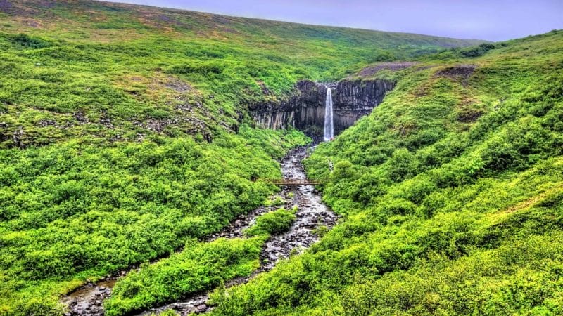 Svartifoss waterfall in Skaftafell National Park