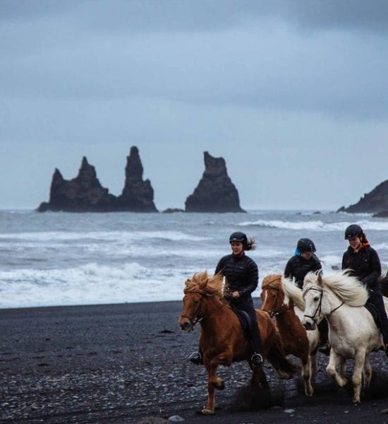 South Coast & Black Beach Horse Riding | Iceland Tours