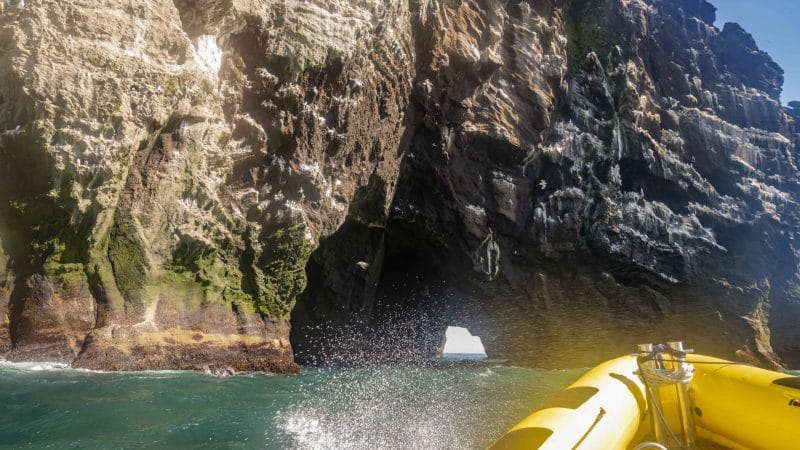 boat tour in Westman Islands