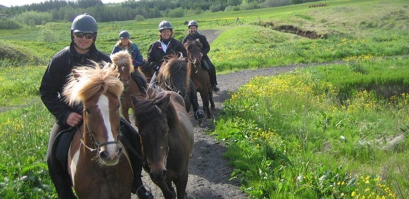 family horse riding tour in Iceland