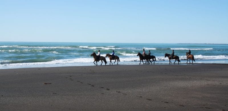 Black Beach Horse Riding tour in Iceland