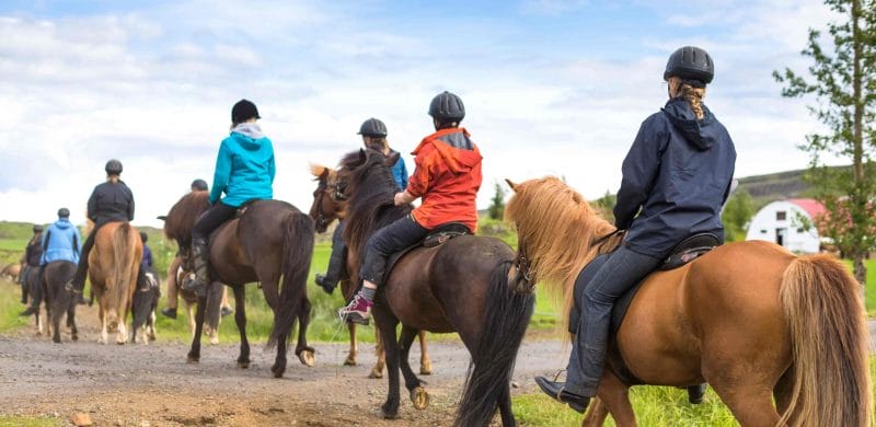 horse riding in iceland