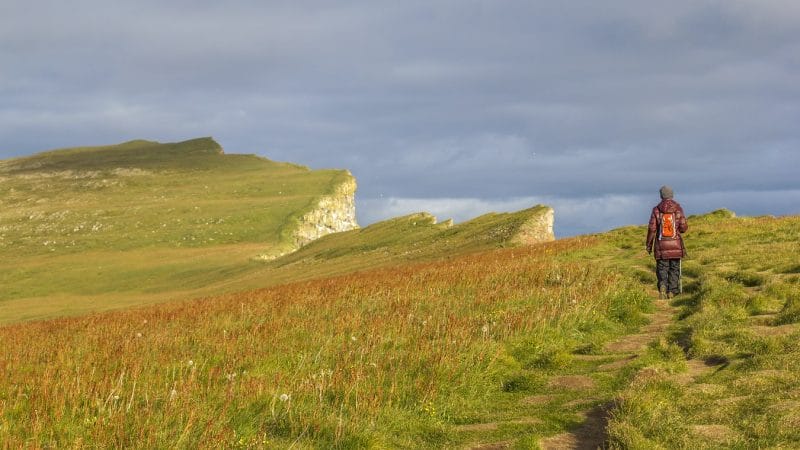 Látrabjarg cliffs in the Westfjords of Iceland, Westernmost part of Iceland